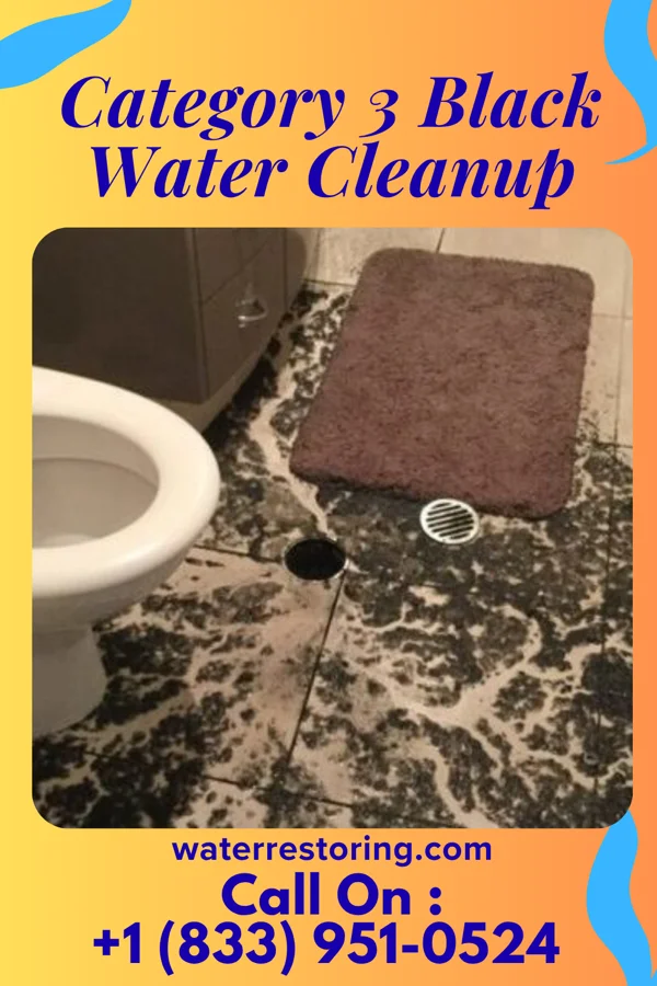 Category 3 Black Water Cleanup in Clifton, TN