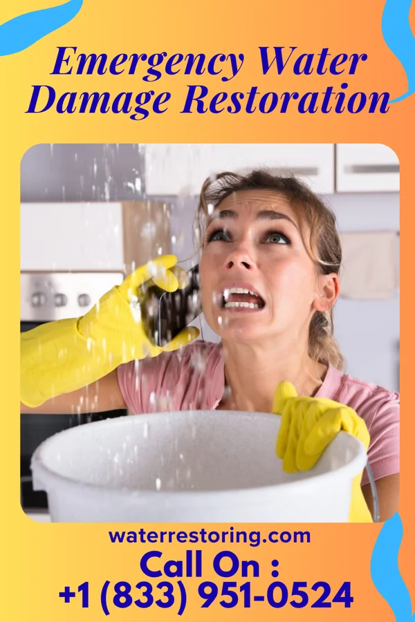 Emergency Water Damage Restoration in Clifton, TN