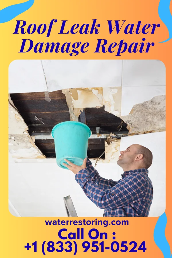 Roof Leak Water Damage Repair in Clifton, TN