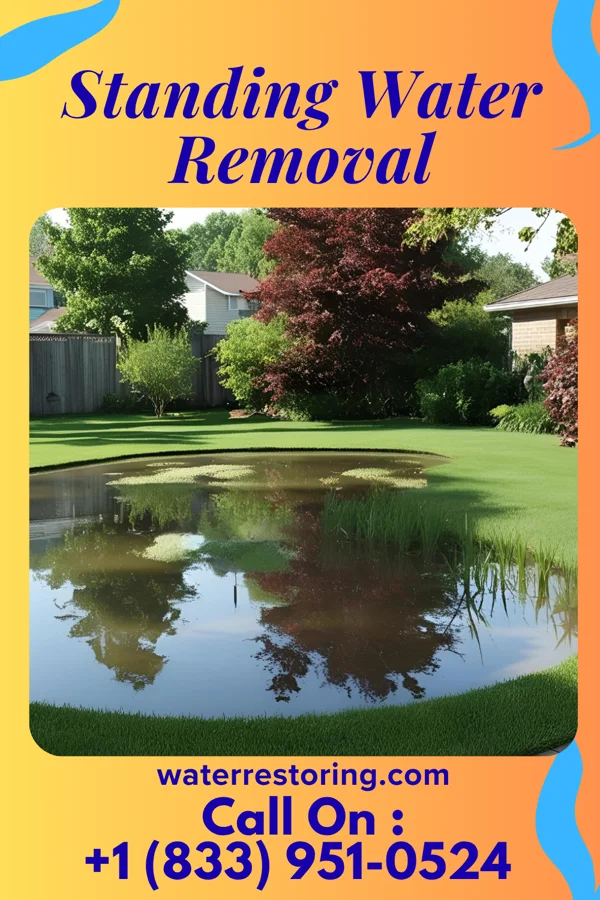 Standing Water Removal in Clifton, TN